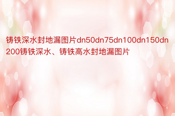 铸铁深水封地漏图片dn50dn75dn100dn150dn200铸铁深水、铸铁高水封地漏图片